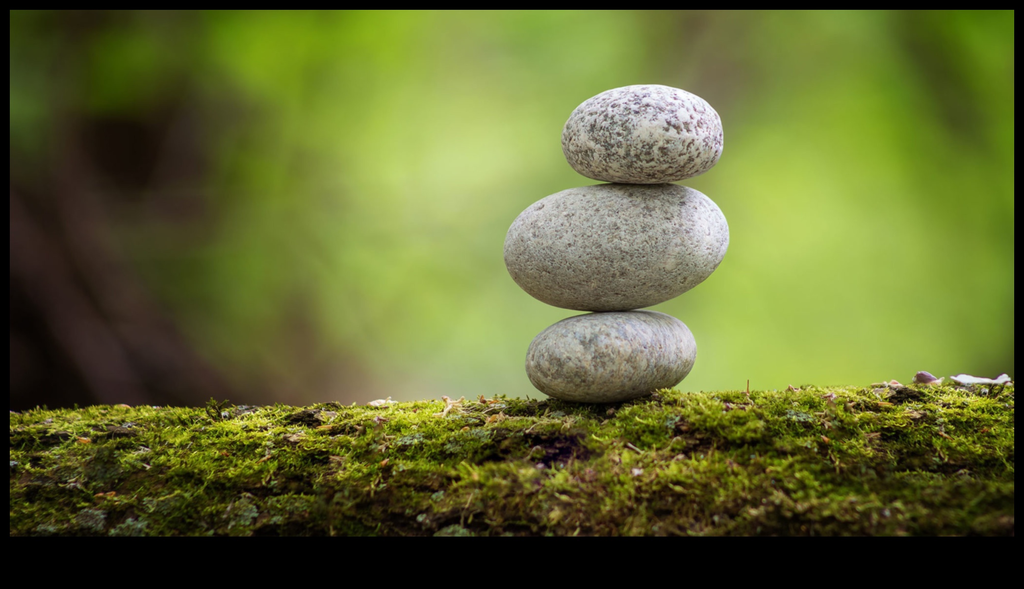 إنسايت إنفيوجن: جرعة من حكمة السفر