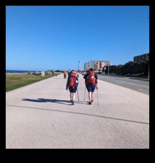 رواد الرصيف: صياغة رحلة جولة المشي الخاصة بك