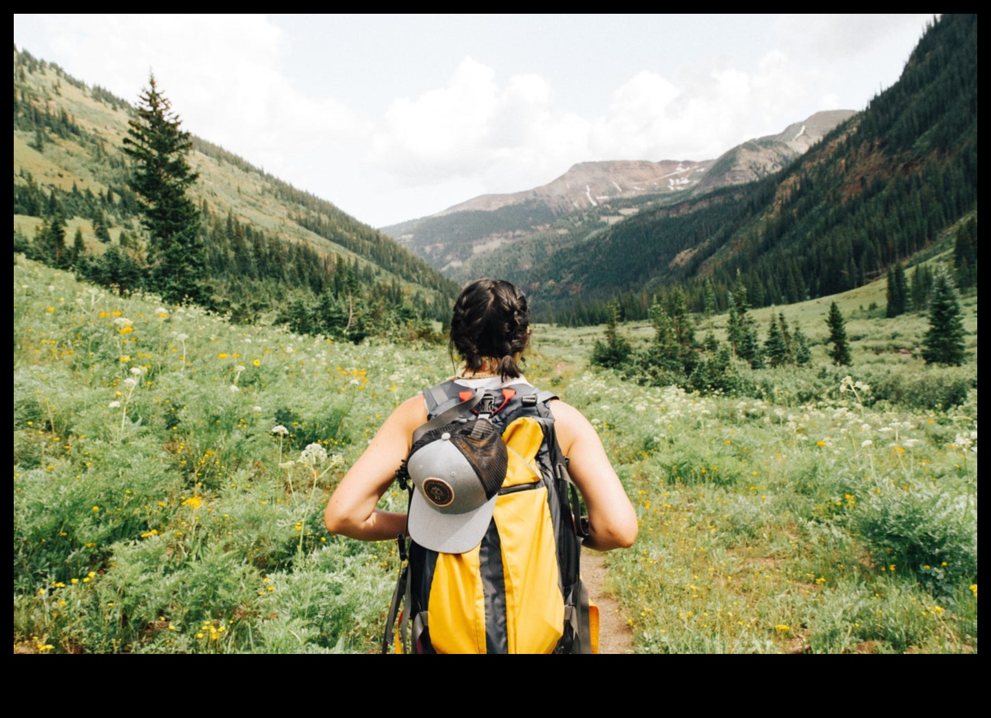 تصميم مافريكس: رائد في عالم الفنون المعمارية