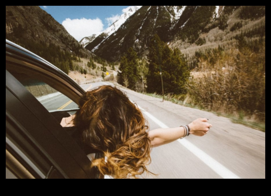 اكتشاف الديناميكيات: دليل المسافر للحركة