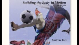 اكتشاف الديناميكيات: دليل المسافر للحركة