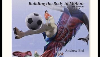 اكتشاف الديناميكيات: دليل المسافر للحركة