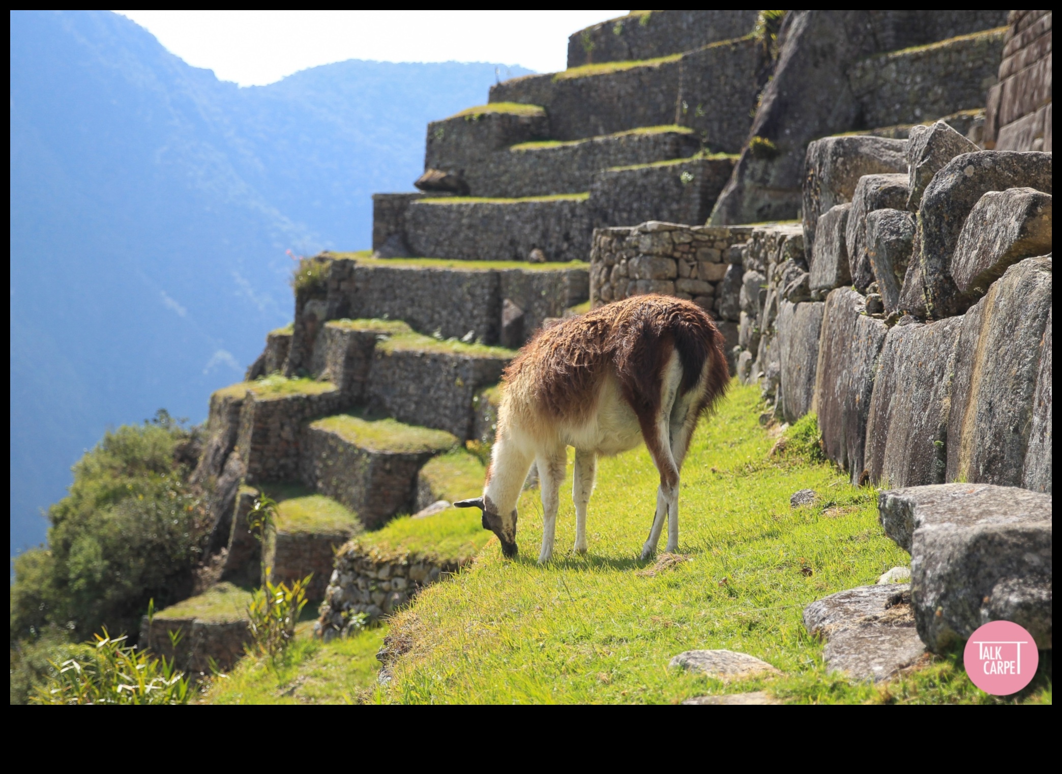 نوافذ التجوال: النظر إلى أفضل المعالم السياحية في العالم