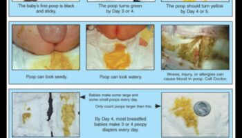 يوميات الحفاضات: دليل الوالدين للتغيير