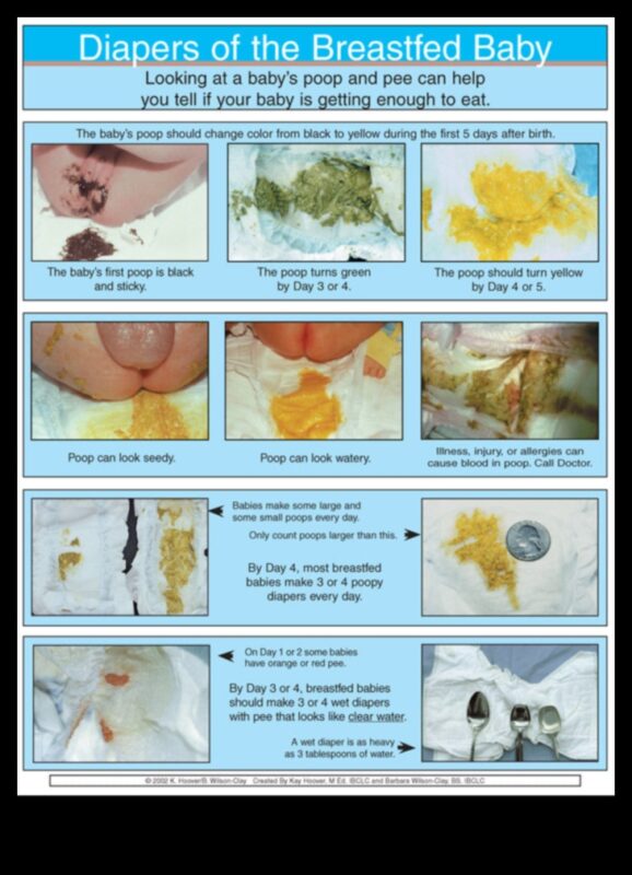 يوميات الحفاضات: دليل الوالدين للتغيير