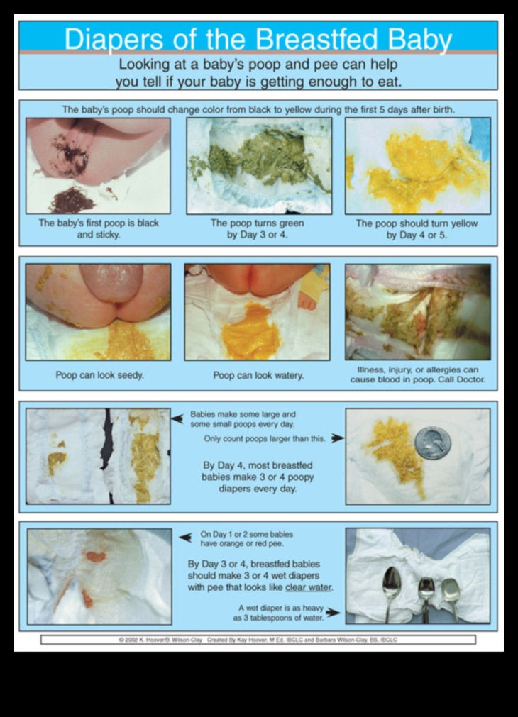 يوميات الحفاضات: دليل الوالدين للتغيير